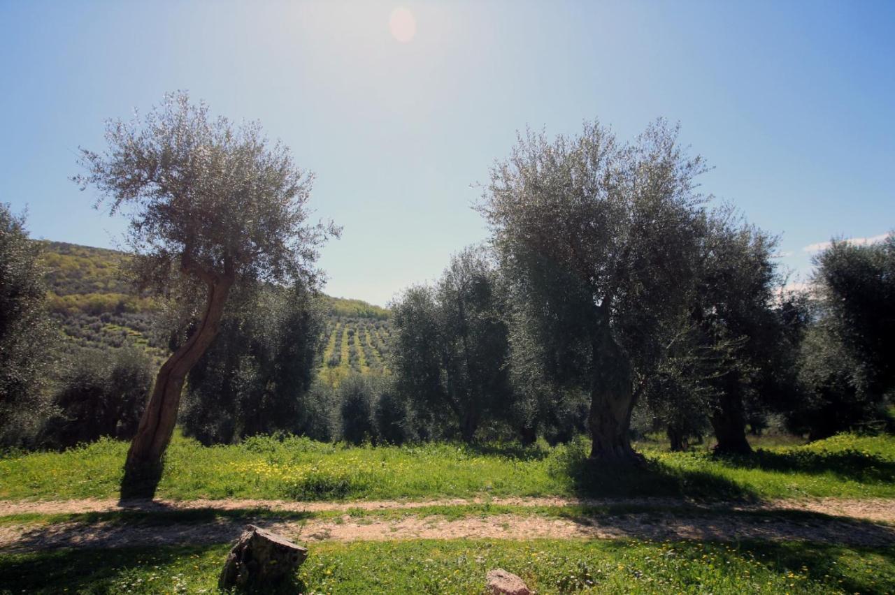 Masseria Procacci Ischitella Exterior foto
